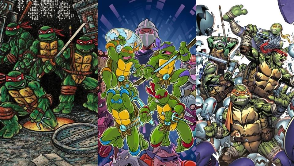 The Teenage Mutant Ninja Turtles, from their indie comics origins to supertars of modern comics.