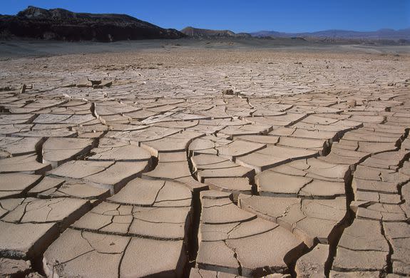 Cracked soil during a 2015 drought in the Atacama Desert, Chile.