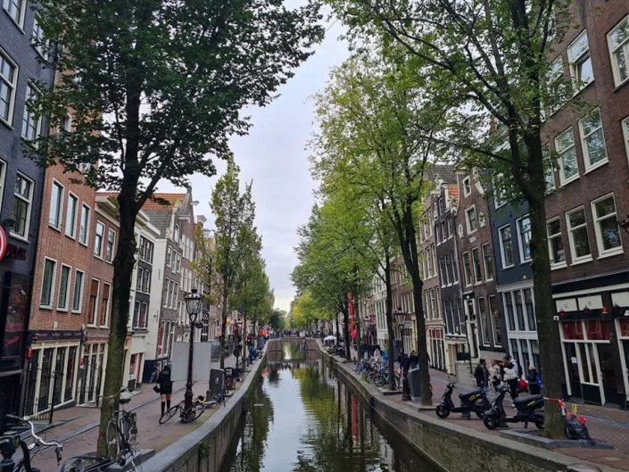 Amsterdam's RLD