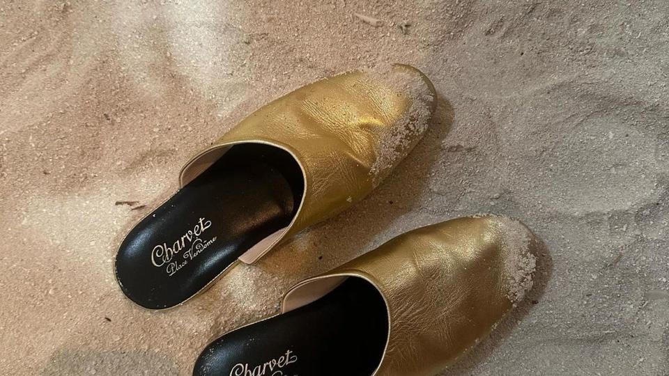 Gold mules in the sand 