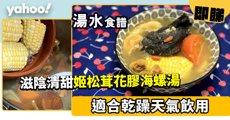 湯水食譜│姬松茸花膠海螺湯  滋陰清甜