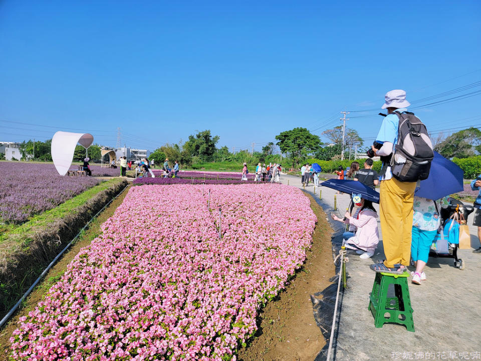 2022桃園仙草花節～仙茶之舞