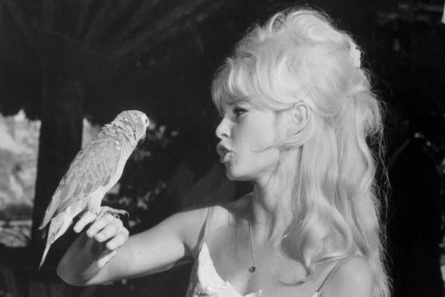 <p>Bettman/Getty Images</p> Brigitte Bardot in Rio in 1964.