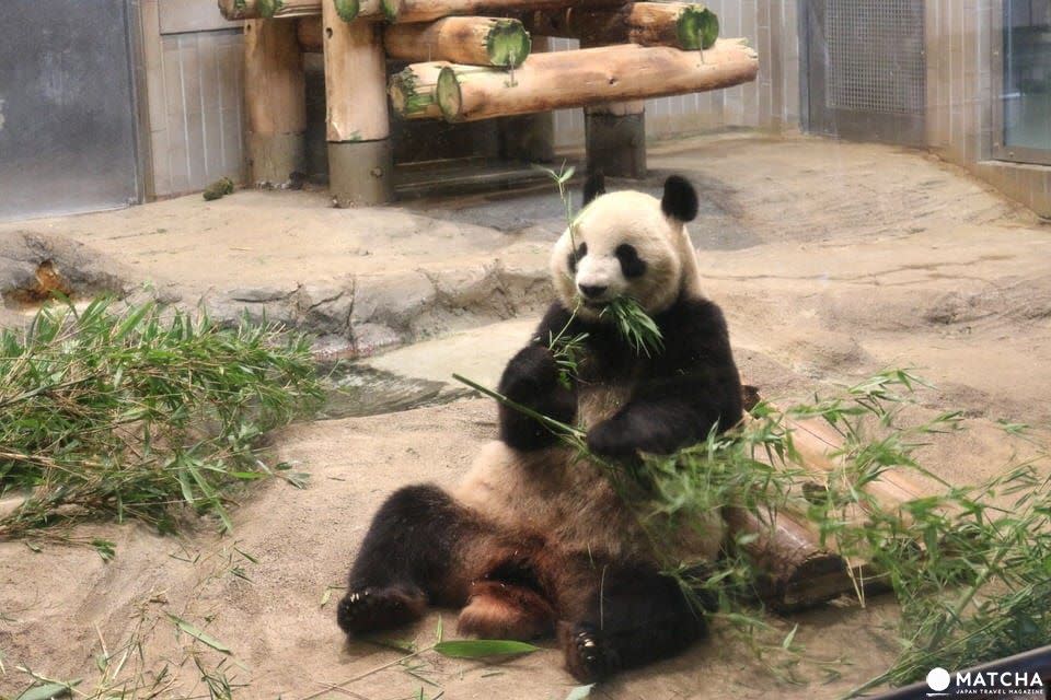 上野動物園