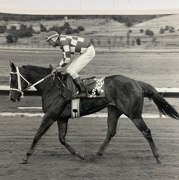 See Me Do It will be inducted into the Ruidoso Downs Racetrack Hall  of Fame this summer.