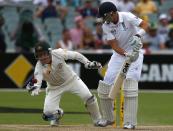 Australia's Brad Haddin takes a catch to dismiss England's Joe Root during the fourth day's play in the second Ashes cricket test at the Adelaide Oval December 8, 2013.