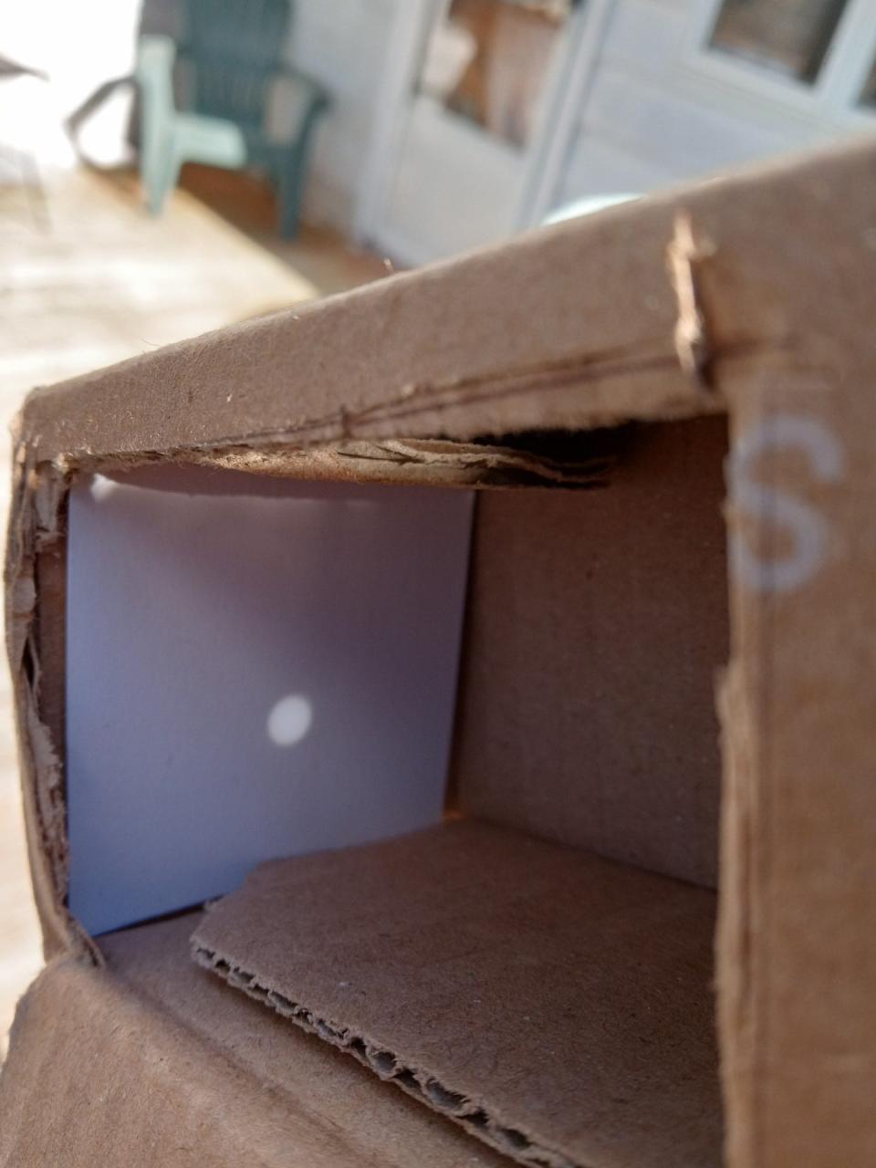 This is a snapshot of the small image of the sun safely projected by a 2-foot carboard mailing tube projection viewer. A longer tube such as used for gift wrapping paper will give a larger image.