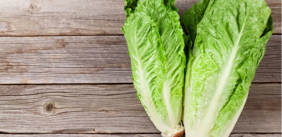 romaine lettuce