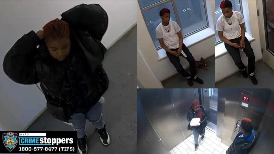 Police released photos of the suspects wanted for grand larceny (NYPD)