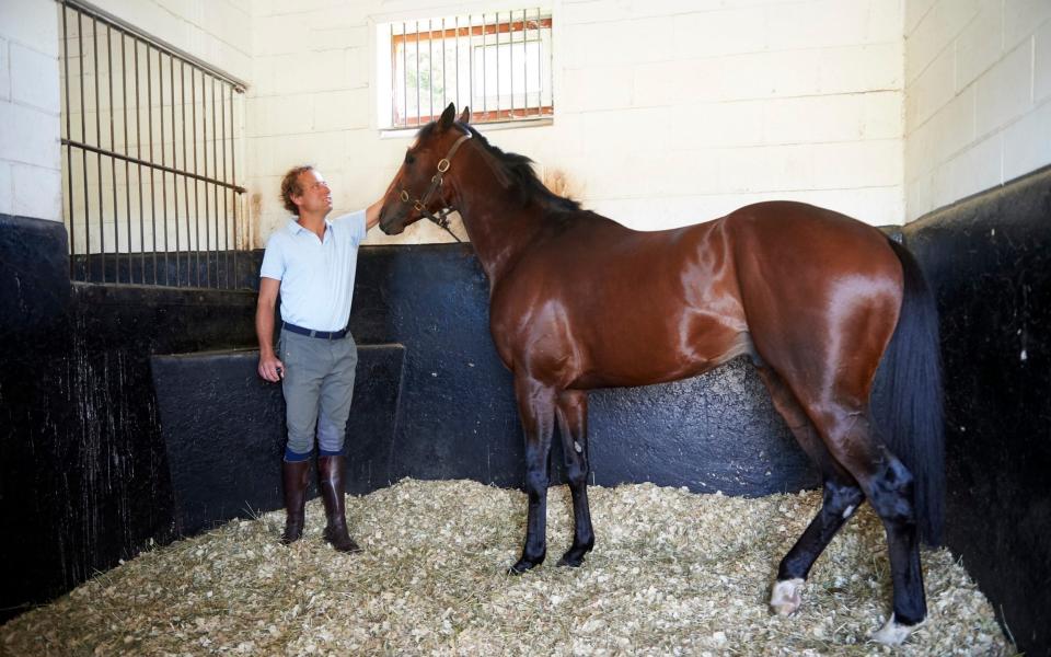 Ollie Cole with Highland Chief  - Ian Tuttle for The Telegraph