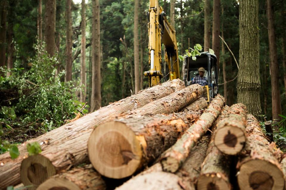 Photo credit: Taiyou Nomachi - Getty Images