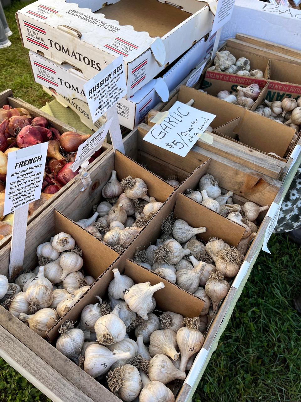 The Neighborhood Farm's garlic will be featured at Tiverton Farmers Market's inaugural Garlic Roast on Oct. 15, 2023.