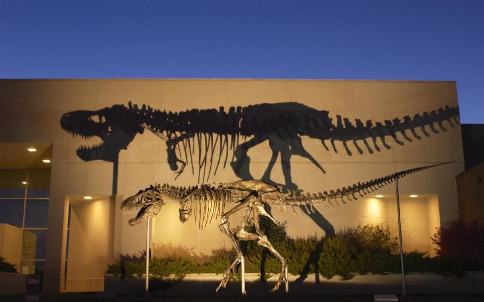 This undated handout photo, taken in 2001, provided by the Museum of the Rockies shows a bronze cast of the Tyrannosaurus rex skeleton known as the Wankel T.rex, in front of the Museum of the Rockies at Montana State University in Bozeman, Mont. The Smithsonian's National Museum of Natural History is acquiring its first full Tyrannosaurus rex skeleton for eventual display in a new dinosaur hall planned for the National Mall. The museum announced Thursday that it reached a 50-year loan agreement with the U.S. Army Corps of Engineers to display one of the most complete T. rex specimens ever discovered. It's known as the "Wankel T. rex."The rare fossil was found in 1988 by rancher Kathy Wankel on federal land near the Fort Peck Reservoir in eastern Montana. Between 1990 and 2011, the fossil was loaned to the Museum of the Rockies in Bozeman, Mont. The T. rex will be the centerpiece of a new dinosaur hall scheduled to open in 2019. Only a few museums display such nearly complete skeletons. (AP Photo/Museum of the Rockies)