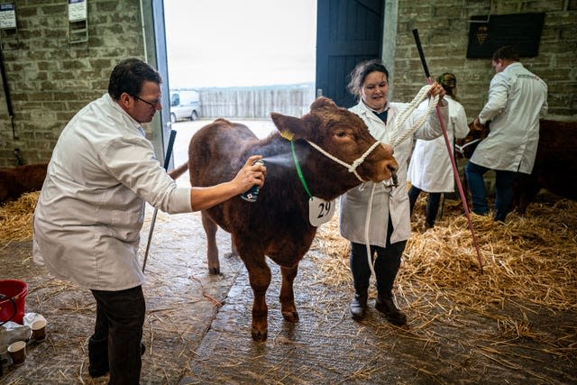 The Cornish Winter Fair