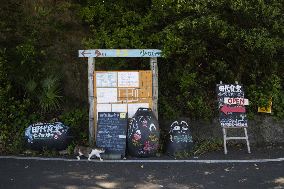 A cat walks in front of signs for a cafe and a cat shrine on Tashirojima island in Ishinomaki, northeast of Japan, Saturday, May 18, 2024. (HK Photo/Hiro Komae)