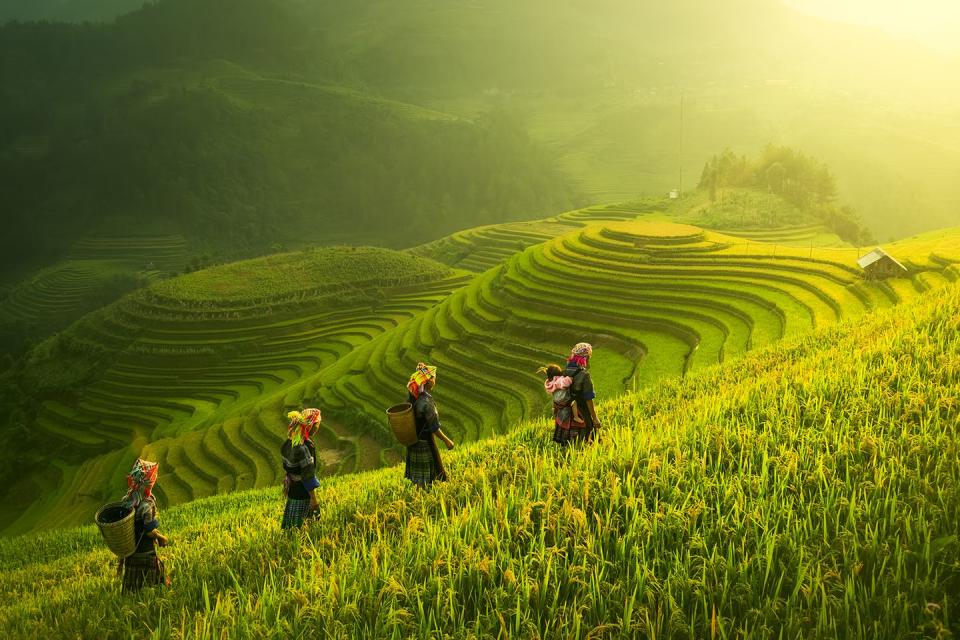 Mù Cang Chải District, Vietnam