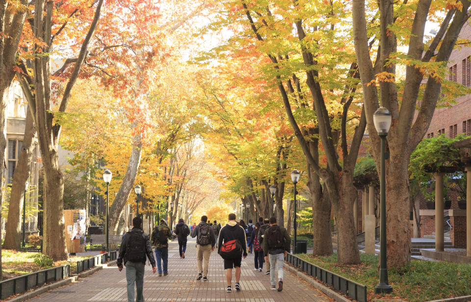 People walk along a tree-lined path in autumn, with colorful leaves on the trees