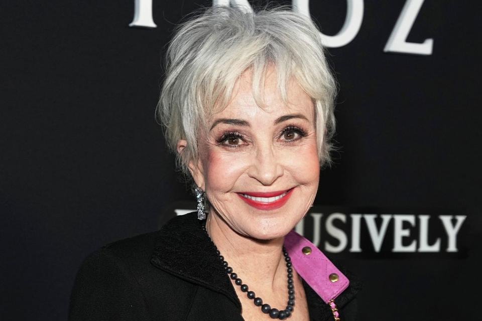 <p>John Nacion/Getty</p> Annie Potts at the world premire of "Ghostbusters: Frozen Empire" held at AMC Lincoln Square New York on March 14, 2024 in New York City.