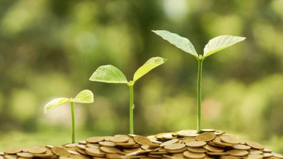 Plant shoots growing on coins