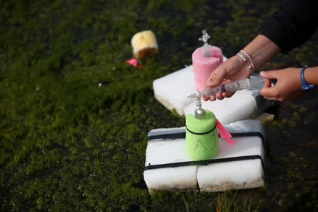 Kathryn Bennett, a postgraduate student in earth sciences at the University of New Hampshire, extracts samples of methane from funnels placed in an area of marshland at a research post at Stordalen Mire near Abisko