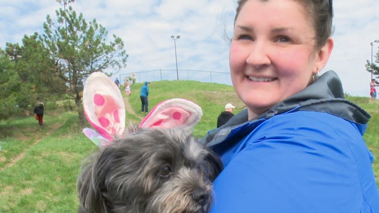 Dogs hunt for easter eggs in Windsor