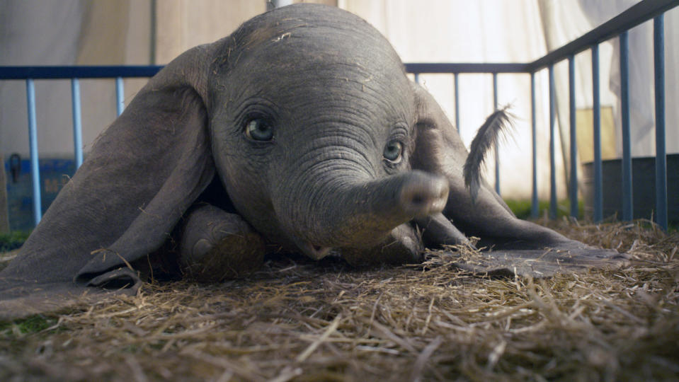 Dumbo finds a magic feather in the 2019 <em>Dumbo</em> remake. (Photo: Walt Disney Studios Motion Pictures / courtesy Everett Collection)