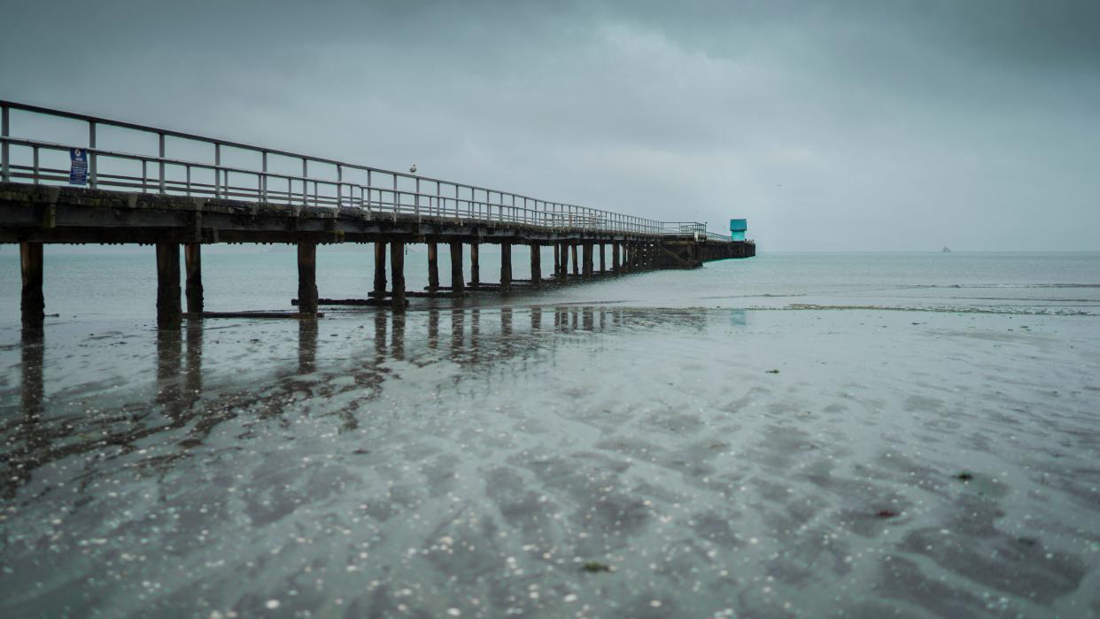 A foot washed up on Petone Beach and was discovered on Saturday morning.