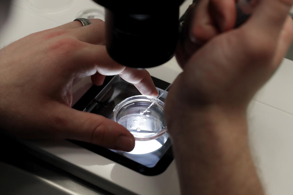 Lab staff prepare small petri dishes, each holding several 1-7 day old embryos, for cells to be extracted from each embryo to test for viability at the Aspire Houston Fertility Institute in vitro fertilization lab Tuesday, Feb. 27, 2024, in Houston. Women over 35 and those facing serious diseases like cancer, lupus and sickle cell are among the most likely to turn to IVF to build the families they desperately want. But in Alabama, they are among those whose dreams are in limbo after three of the state's largest clinics paused IVF services. (AP Photo/Michael Wyke)