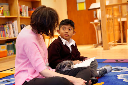 Marlon Maita, 8, reads with Leslie Hight, a therapy dog handler for New York Therapy Animals, and Izzy, a Reading Education Assistance Dog therapy dog, at Public School 57 in the Spanish Harlem section of New York, U.S., May 16, 2016. REUTERS/Shannon Stapleton