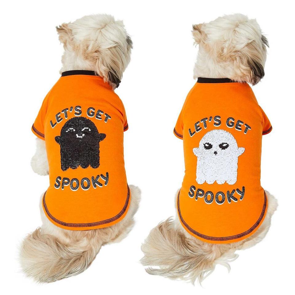 Two dogs wearing Frisco Sequin Let's Get Spooky Dog & Cat T-Shirts on a white background