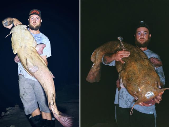 Lies Rumors and Truths in the Catfish Fishing World This Year