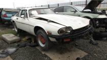 <p>The <a class="link " href="https://www.autoblog.com/jaguar/" data-ylk="slk:Jaguar;elm:context_link;itc:0;sec:content-canvas">Jaguar</a> XJ-S was big, powerful, swanky, and expensive, just <a href="https://ateupwithmotor.com/model-histories/jaguar-xjs-history/" rel="nofollow noopener" target="_blank" data-ylk="slk:the sort of luxury coupe a high-roller in the late 1970s;elm:context_link;itc:0;sec:content-canvas" class="link ">the sort of luxury coupe a high-roller in the late 1970s</a> craved. Unfortunately, these temperamental cars needed plenty of regular maintenance, and many of them suffered from neglect once they left the hands of their original owners. I <a href="http://www.murileemartin.com/Junkyard/JunkyardGallery-Jaguar.html" rel="nofollow noopener" target="_blank" data-ylk="slk:see plenty of V12 Jaguars;elm:context_link;itc:0;sec:content-canvas" class="link ">see plenty of V12 Jaguars</a> during my <a href="http://www.murileemartin.com/JunkyardGalleryHome.html" rel="nofollow noopener" target="_blank" data-ylk="slk:junkyard journeys;elm:context_link;itc:0;sec:content-canvas" class="link ">junkyard journeys</a>, but it still gives me a twinge of sadness when I see another one parked among the ordinary <a class="link " href="https://www.autoblog.com/volkswagen/jetta/" data-ylk="slk:Jettas;elm:context_link;itc:0;sec:content-canvas">Jettas</a> and <a class="link " href="https://www.autoblog.com/suzuki/grand+vitara/" data-ylk="slk:Grand Vitaras;elm:context_link;itc:0;sec:content-canvas">Grand Vitaras</a> in the import-cars section of a big self-service wrecking yard. Here's a forlorn-looking, V8-swapped '77 in a San Francisco Bay Area yard. <a href="https://www.autoblog.com/2018/12/10/junkyard-gem-1977-jaguar-xj-s/" data-ylk="slk:Read more;elm:context_link;itc:0;sec:content-canvas" class="link "><em>Read more</em></a>.</p>