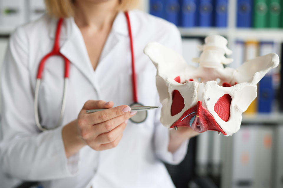 A doctor showing a model and pointing to a body part