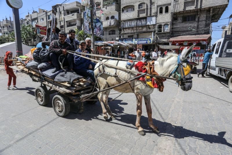 Palestinians carry their belongings on a donkey cart as they flee following Israeli airstrikes on Al-Geneina and Al-Salam neighbourhoods. Abed Rahim Khatib/dpa