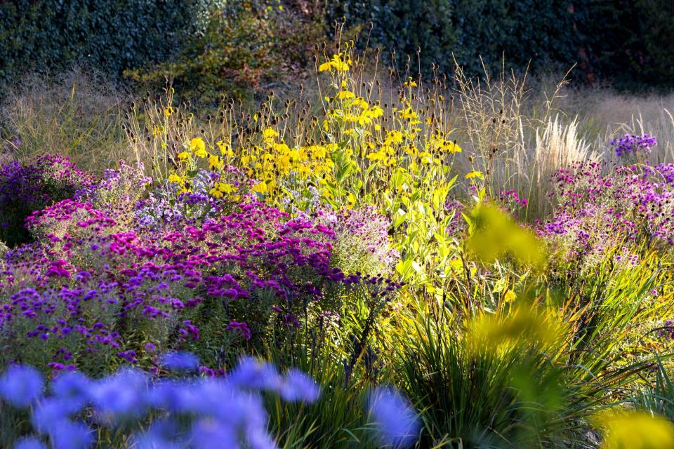 The 15 Best Fall Flowers for Your Autumn Garden