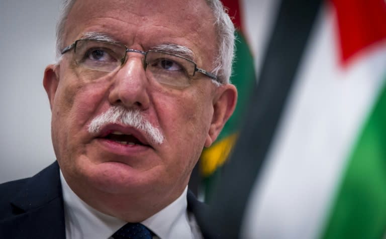 Palestinian Minister of Foreign Affairs Riyad al-Maliki speaks to the press following talks with the ICC prosecutor at the International Criminal Court in The Hague