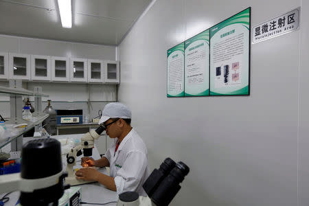 A lab technician works at the "microinjection area" inside Sun Yat-Sen University-Michigan State University Joint Center of Vector Control for Tropical Disease, the world’s largest "mosquito factory" which breeds millions of bacteria-infected mosquitoes, in the fight against the spread of viruses such as dengue and Zika, in Guangzhou, China July 28, 2016. Picture taken July 28, 2016. REUTERS/Bobby Yip