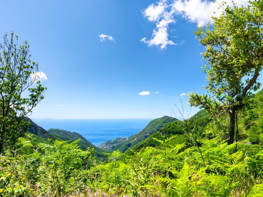 Trees and greenery-covered mountains with the sea in the background.