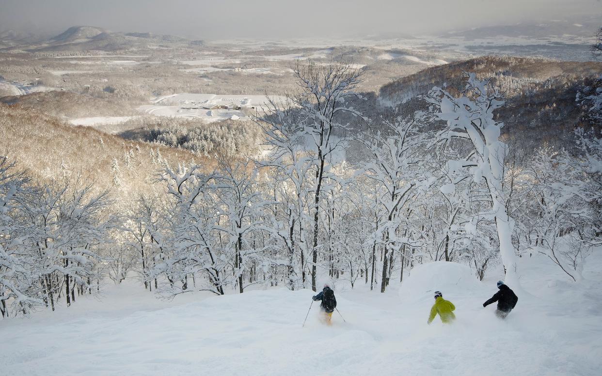 Enjoying skiing through the trees in Hokkaido's most popular resort, Niseko - Niseko Hanazono resort