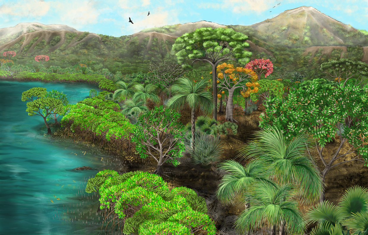 <span class="caption">With the evidence uncovered by paleontologists, an artist sketched El Bosque Petrificado Piedra Chamana as it might have looked long before humans.</span> <span class="attribution"><a class="link " href="https://www.nps.gov/flfo/learn/nature/peru-eocene-forest.htm" rel="nofollow noopener" target="_blank" data-ylk="slk:Mariah Slovacek/NPS-GIP;elm:context_link;itc:0;sec:content-canvas">Mariah Slovacek/NPS-GIP</a></span>