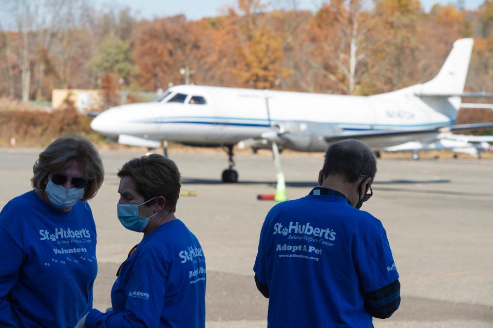 Forty dogs from Louisiana shelters are being flown to New Jersey to find new homes on Tuesday Nov. 9, 2021. The flight carrying the dogs arrived at Morristown Airport Tuesday morning. The at-risk shelter pets, including harder-to-adopt large breed dogs and asymptomatic heartworm positive shelter dogs, will be received by St. HubertÕs Animal Welfare Center. 