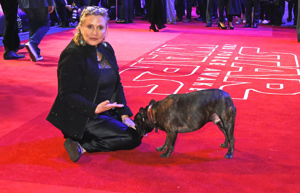 Earlier that night on the red carpet, Fisher again got down and dirty just to make sure the pooch, who has a tongue that permanently hangs out, was having a good time. (Photo: Getty Images)