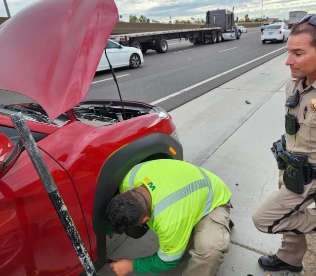 Driver pulls over to check noises coming from engine and finds