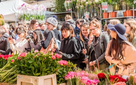  Columbia Road Flower Market - Credit: elenachaykina/elenachaykina