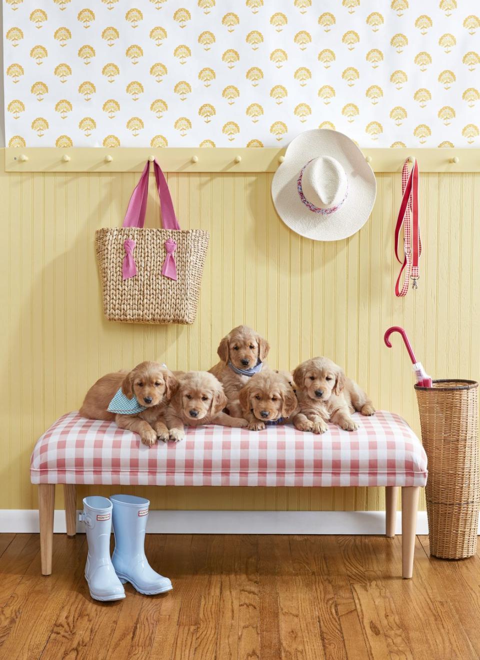 Add a Burst of Yellow to a Small Mudroom