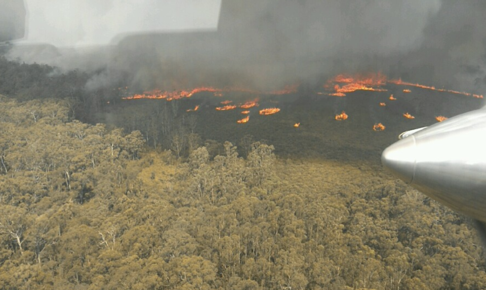 An aerial image of  the fires at Cabbage Tree Creek on Sunday.Source: DELWP Gippsland