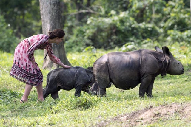 Kate Middleton and Prince William feed baby elephants and rhinos in India