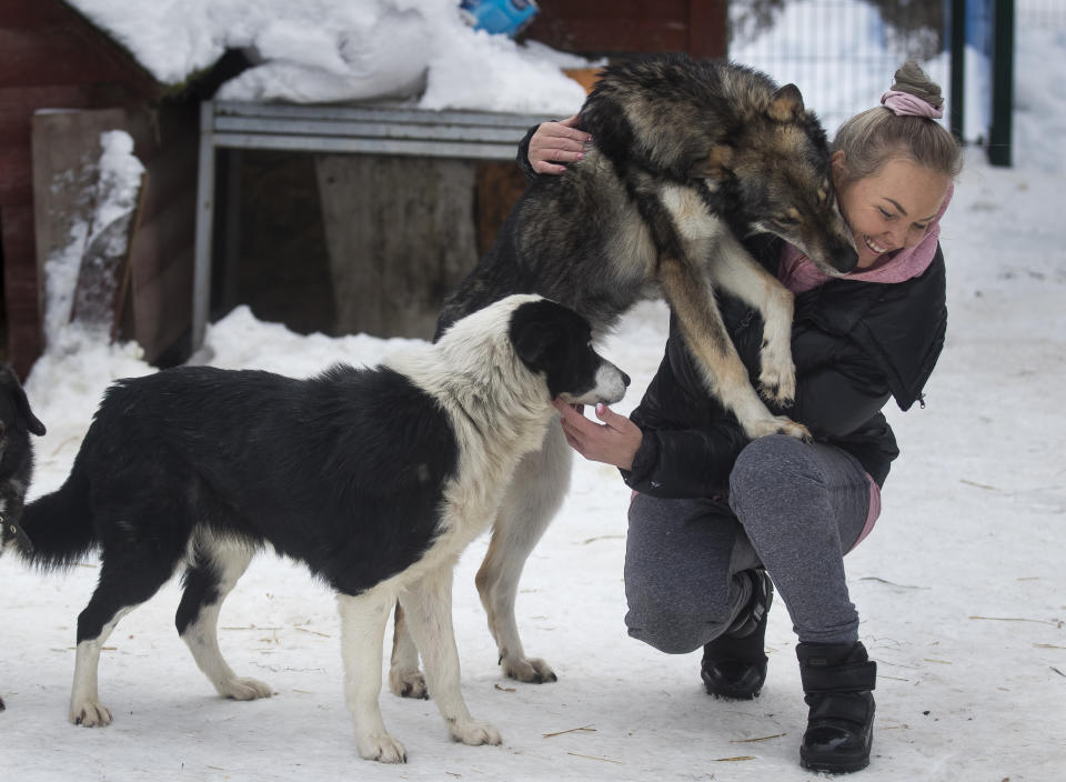 In this photo taken on Thursday, Jan. 31, 2019, Ilona Reklaityte, founder of a dog shelter, copes with two of her charges in Vilnius, Lithuania. A group of enthusiasts have launched an app that helps match aspiring dog owners with stray dogs. (AP Photo/Mindaugas Kulbis)