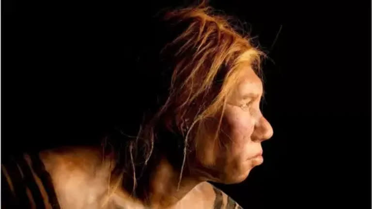 No se sabe en qué se diferenciaban las hembras de Neandertal de los machos.