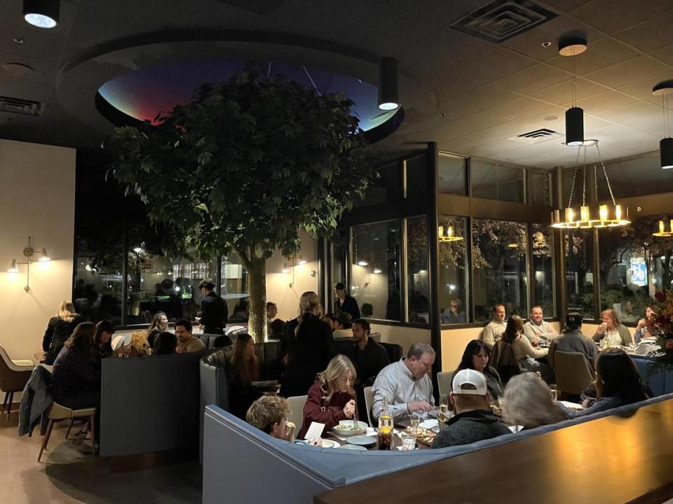 A faux maple tree towers near the rear of the dining area.